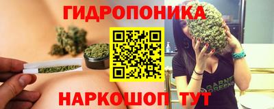 PSILOCYBIN Тула