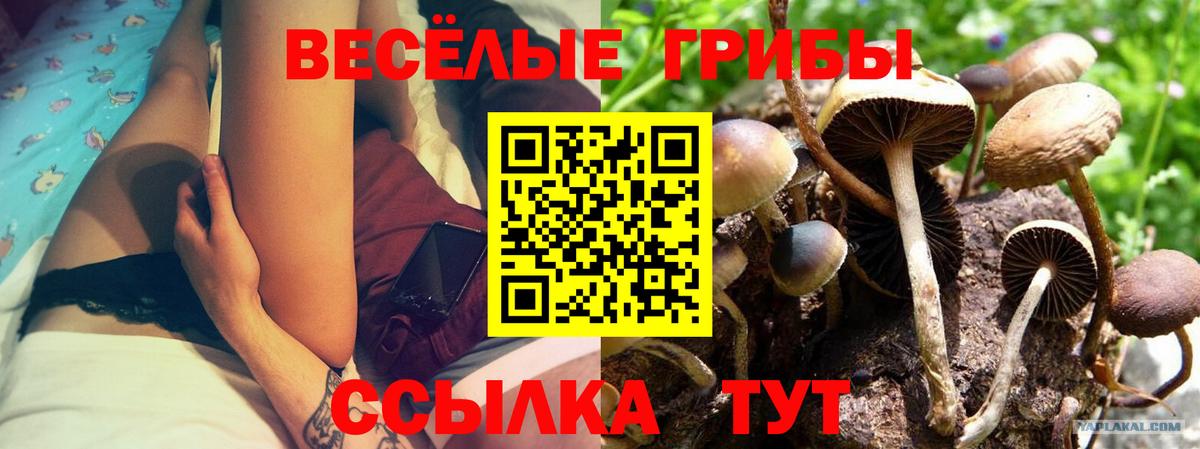 Нижнекамск  даркнет сайт  Псилоцибиновые грибы мицелий  Вход с VPN  Псилоцибиновые грибы мицелий 